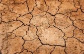 Día Mundial de Lucha contra la Desertificación y la Sequía