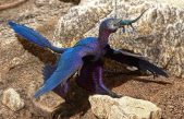 Científicos israelíes identifican la primera prueba de muda de plumas en un dinosaurio volador