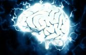 Día Mundial del Cerebro