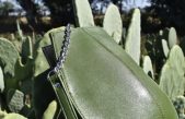 Desserto, el cuero biodegradable hecho a base de cactus