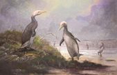 Pingüinos y aves gigantes de la prehistoria