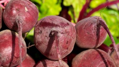 Desarrollan un envase con extracto de remolacha que mejora la conservación de alimentos