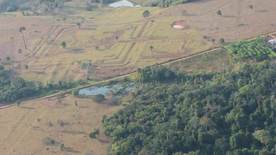 La selva amazónica no era virgen cuando fue colonizada