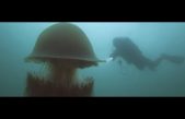El veneno de esta medusa gigante tiene en vilo a los científicos