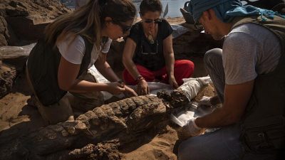 Hallados 11 cocodrilos momificados de hace 2.000 años en el Valle de los Príncipes de Egipto