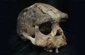Algunos humanos actuales portan ADN de un ancestro arcaico y desconocido