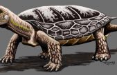 Descubren una nueva especie de tortuga de unos 205 millones de años de antigüedad