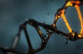 La extinción del cromosoma Y es un mito, según una hipótesis compleja