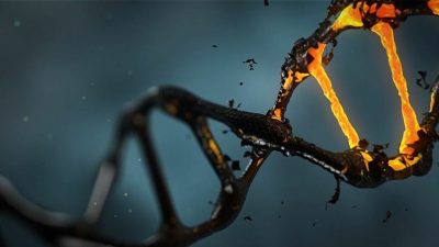 La extinción del cromosoma Y es un mito, según una hipótesis compleja
