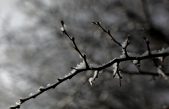 Ni granizo ni nieve: qué es el graupel que cae sobre el Cono Sur e intriga a todos