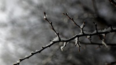 Ni granizo ni nieve: qué es el graupel que cae sobre el Cono Sur e intriga a todos