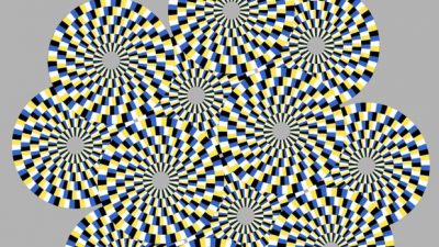 El secreto de por qué ves movimiento en estas ilusiones ópticas está en las moscas