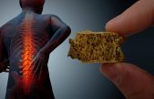 La oxitocina puede prevenir el surgimiento de la osteoporosis