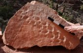 Estas huellas fósiles descubiertas en el Gran Cañón tienen 313 millones de años