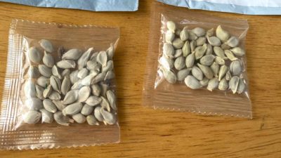 El misterio de las semillas chinas: ¿Qué son, y por qué las envían?