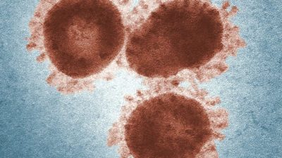 Tenemos una “huella viral” única en el intestino