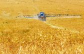 Un nuevo pesticida natural logra eliminar plagas y patógenos mediante moléculas que ‘silencian’ sus genes