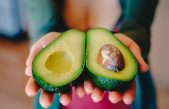 Un fruto del futuro: preparan los aguacates para sobrevivir a un apocalipsis