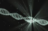 Descifrada la estructura de la proteína clave que repara daños del ADN por radiaciones ultravioleta o quimioterapia