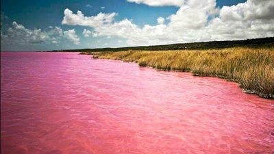 Las imágenes de un Dron muestran que el lago de Siberia ha cambiado de color.