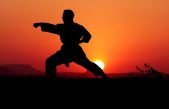 Día Mundial de Karate