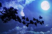 Luna Azul en la noche de Halloween