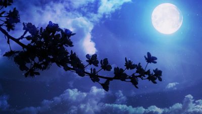 Luna Azul en la noche de Halloween