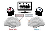 El cerebro tiene neuronas políticas