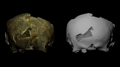 Un cráneo de la Edad de Bronce y con rastros de una trepanación de “precisión milimétrica” sorprende a los científicos