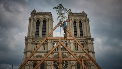 Notre Dame será restaurada con técnicas medievales