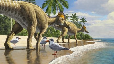 Los dinosaurios cruzaron el océano, según un nuevo hallazgo fósil