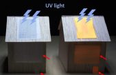 La madera luminiscente alumbrará las casas del futuro