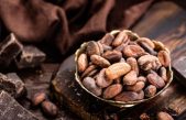 ¿Comer cacao puede hacerte más inteligente?