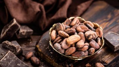 ¿Comer cacao puede hacerte más inteligente?