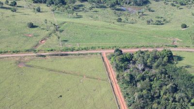 Una civilización precolonial ya realizó cambios en la selva amazónica hace miles de años