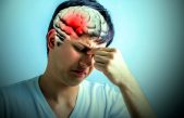 Así responde nuestro cerebro ante situaciones estresantes