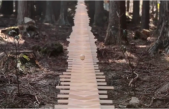 Así suena el xilófono gigante en un bosque de Japón
