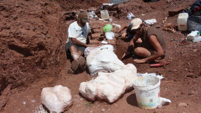 Hallan en Neuquén al dinosaurio que pasaría a ser el más grande del mundo
