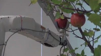 Robot, inteligencia artificial y carrito de golf para trabajar en el campo en Japón