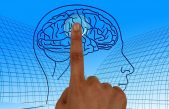 Usamos 10% del cerebro: ¿mito o realidad?