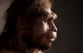 Hay una especie de homínidos que vivió casi nueve veces más que nosotros