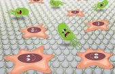 Desarrollan un nanomaterial bactericida que podría recubrir implantes y prótesis