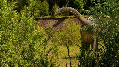 Los dinosaurios viajaron 10.500 kilómetros desde Sudamérica a Groenlandia por un cambio climático