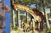 Descubren en la Patagonia al titanosaurio más antiguo del mundo