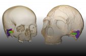 Los neandertales pudieron oír y hablar como nosotros