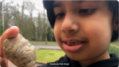 Niño halla en su jardín un fósil de 480 millones de años