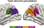 Identifican las claves cerebrales que nos permiten interpretar el mundo