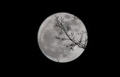 La sonda china Chang’e 5 encuentra la primera evidencia ‘in situ’ de agua en la superficie de la Luna