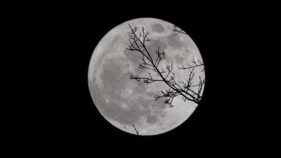 Aprecia la ‘luna llena de gusanos’ este 28 de marzo