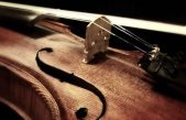 Los anillos de la madera podrían ayudar a verificar la autenticidad de un Stradivarius